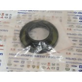 OIL SEAL (39X70X11)